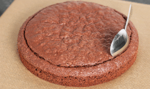 Maulwurfkuchen: Klassiker ohne Backmischung